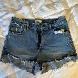 Abercrombie & Fitch Mom Denim Shorts-12 Curve Love